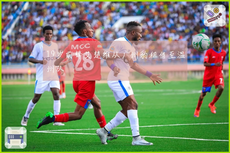 19岁前锋艾楚维从广州豹租借至温州队